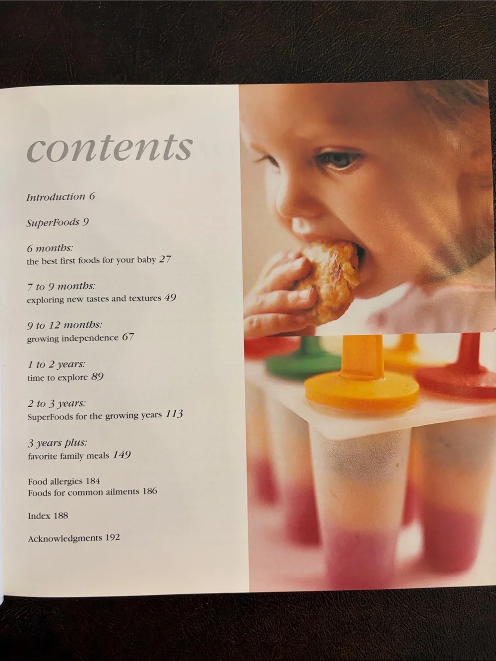 SuperFoods for Babies and Children (Recipe Book)